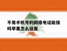 包含不用手机号的网络电话能接吗苹果怎么设置的词条