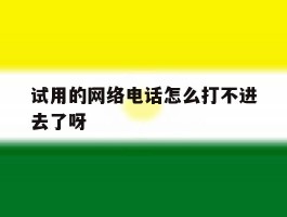试用的网络电话怎么打不进去了呀