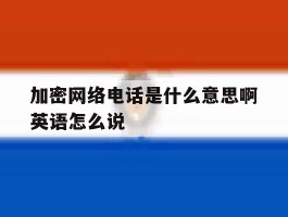 加密网络电话是什么意思啊英语怎么说
