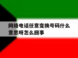 网络电话任意变换号码什么意思呀怎么回事