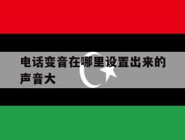 包含电话变音在哪里设置出来的声音大的词条