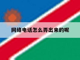 网络电话怎么弄出来的呢