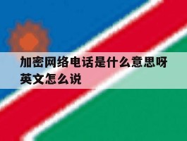 加密网络电话是什么意思呀英文怎么说