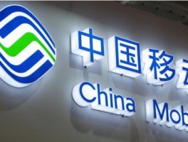 网络电话自定义号码什么意思啊