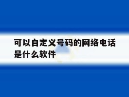 可以自定义号码的网络电话是什么软件