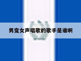男变女声唱歌的歌手是谁啊