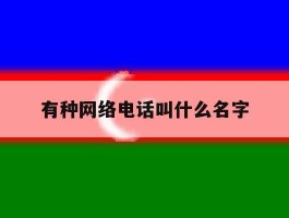 有种网络电话叫什么名字