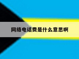 网络电话费是什么意思啊