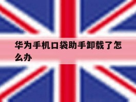 华为手机口袋助手卸载了怎么办的简单介绍
