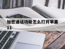 加密通话功能怎么打开苹果11
