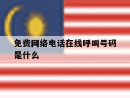 免费网络电话在线呼叫号码是什么