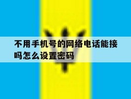 不用手机号的网络电话能接吗怎么设置密码