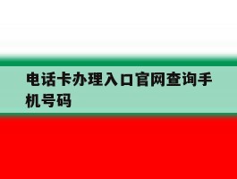 电话卡办理入口官网查询手机号码