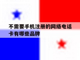 不需要手机注册的网络电话卡有哪些品牌的简单介绍