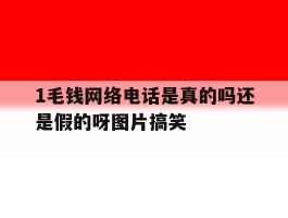 1毛钱网络电话是真的吗还是假的呀图片搞笑的简单介绍