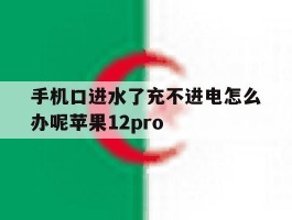 手机口进水了充不进电怎么办呢苹果12pro的简单介绍