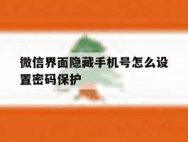 微信界面隐藏手机号怎么设置密码保护