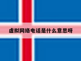 虚拟网络电话是什么意思呀