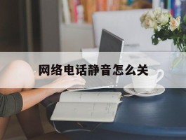 网络电话静音怎么关