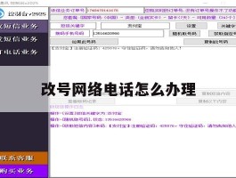 改号网络电话怎么办理