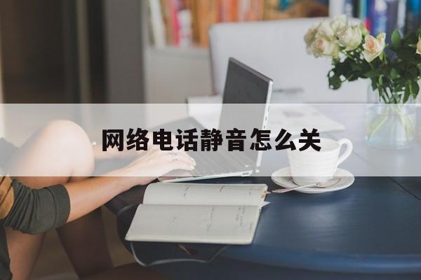 网络电话静音怎么关 网络电话静音怎么关
