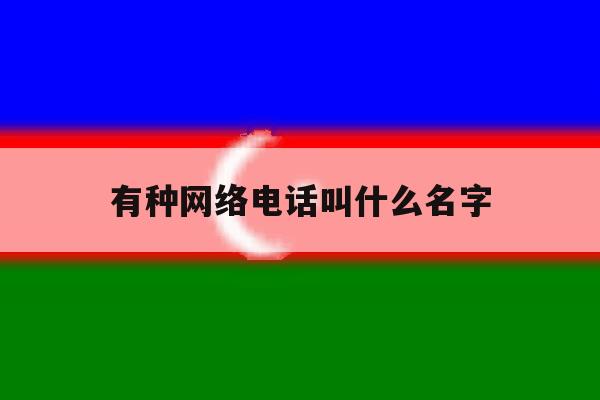 有种网络电话叫什么名字 有种网络电话叫什么名字
