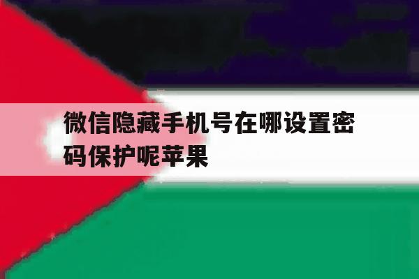 微信隐藏手机号在哪设置密码保护呢苹果 微信隐藏手机号在哪设置密码保护呢苹果
