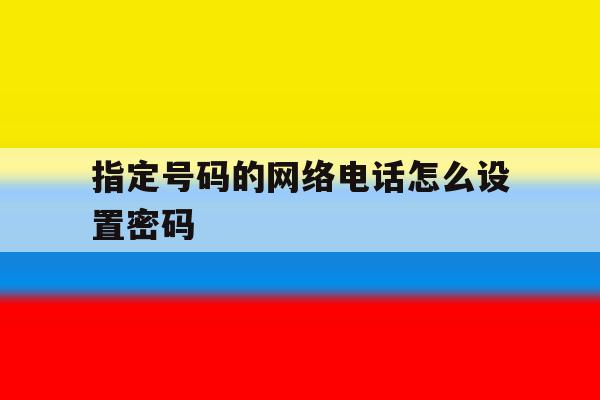 指定号码的网络电话怎么设置密码 指定号码的网络电话怎么设置密码