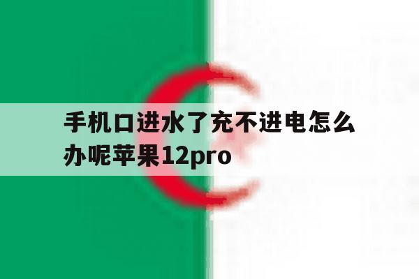 手机口进水了充不进电怎么办呢苹果12pro的简单介绍 手机口进水了充不进电怎么办呢苹果12pro的简单介绍
