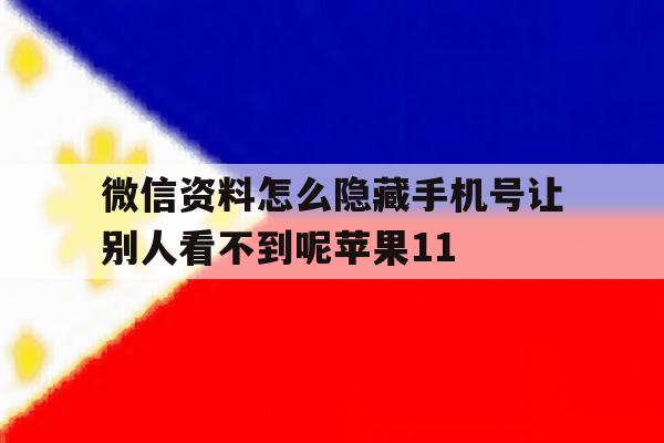 微信资料怎么隐藏手机号让别人看不到呢苹果11的简单介绍 微信资料怎么隐藏手机号让别人看不到呢苹果11的简单介绍