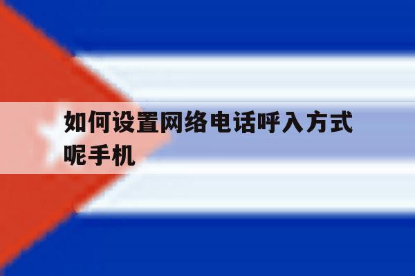 如何设置网络电话呼入方式呢手机 如何设置网络电话呼入方式呢手机