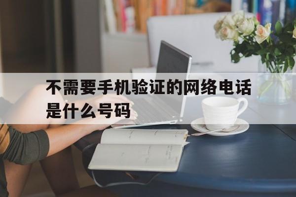 不需要手机验证的网络电话是什么号码 不需要手机验证的网络电话是什么号码