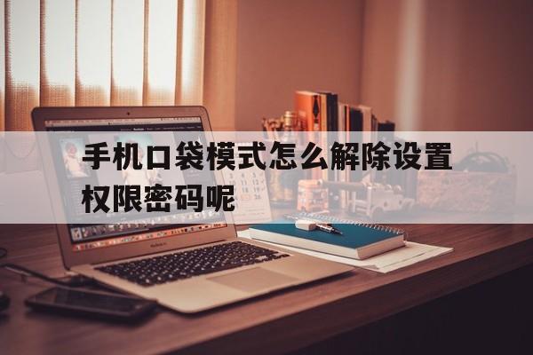 手机口袋模式怎么解除设置权限密码呢 手机口袋模式怎么解除设置权限密码呢