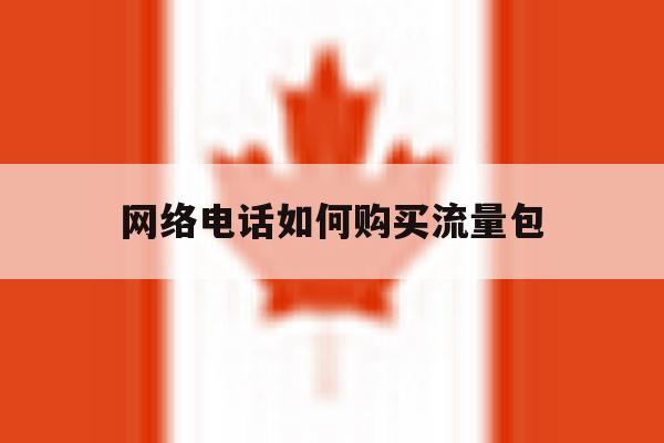网络电话如何购买流量包 网络电话如何购买流量包